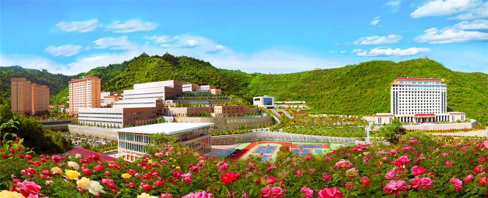三季有花、四季常青的金徽礦區(qū)-p2.jpg