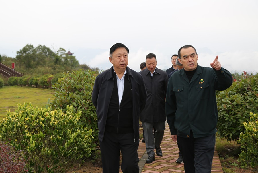 19-2021年10月，原國土資源部副部長汪民蒞臨公司調(diào)研。.jpg
