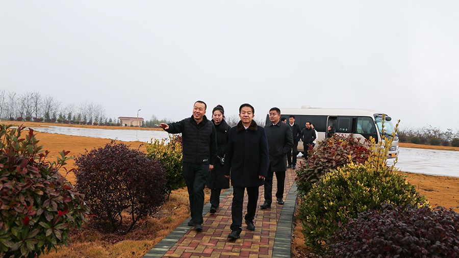45-2020年12月，省高級人民法院黨組成員、副院長任建國蒞臨金徽股份調(diào)研知識產(chǎn)權(quán)司法保護工作。.jpg