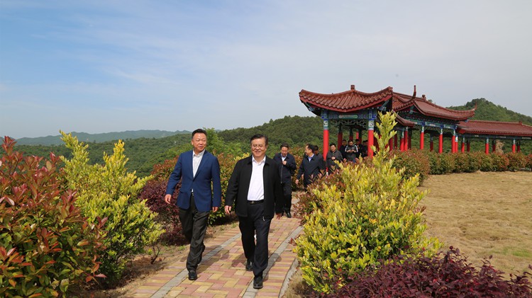 省人民檢察院黨組書記、檢察長朱玉調(diào)研金徽股份